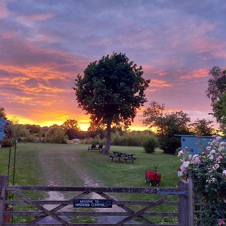 Hopgarden Glamping Luxury Shepherds Huts Wadhurst Zewnętrze zdjęcie