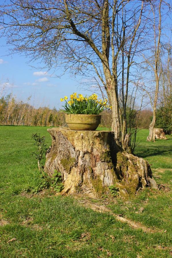 Hopgarden Glamping Luxury Shepherds Huts Wadhurst Zewnętrze zdjęcie