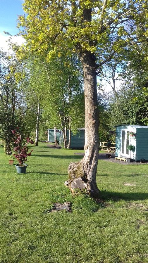 Hopgarden Glamping Luxury Shepherds Huts Wadhurst Zewnętrze zdjęcie