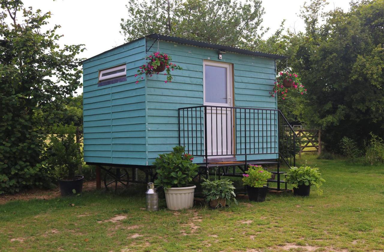 Hopgarden Glamping Luxury Shepherds Huts Wadhurst Zewnętrze zdjęcie