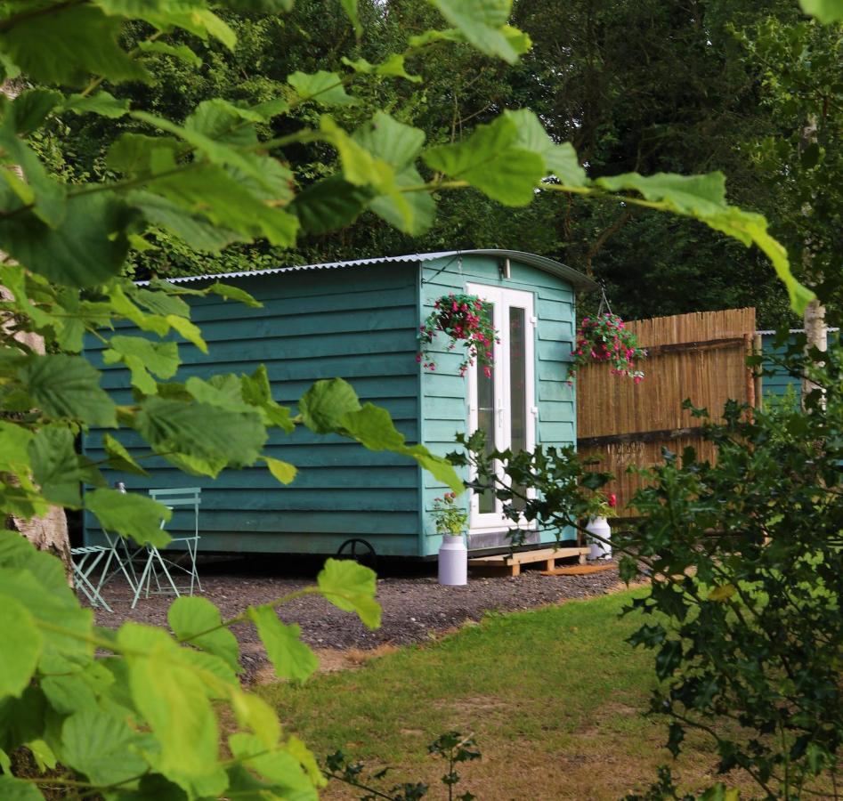 Hopgarden Glamping Luxury Shepherds Huts Wadhurst Zewnętrze zdjęcie